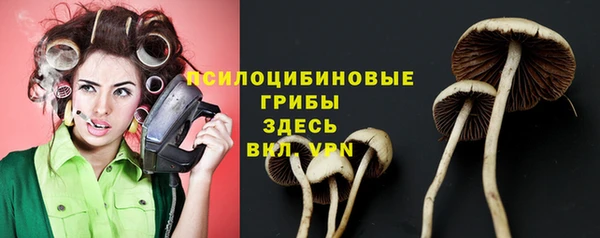 прущие крисы Мегион
