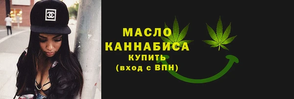 индика Вяземский