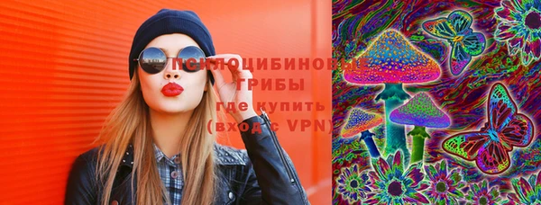 a pvp Медногорск