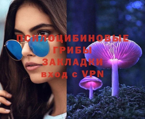 a pvp Медногорск