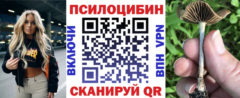 Галлюциногенные грибы ЛСД  Вологда 