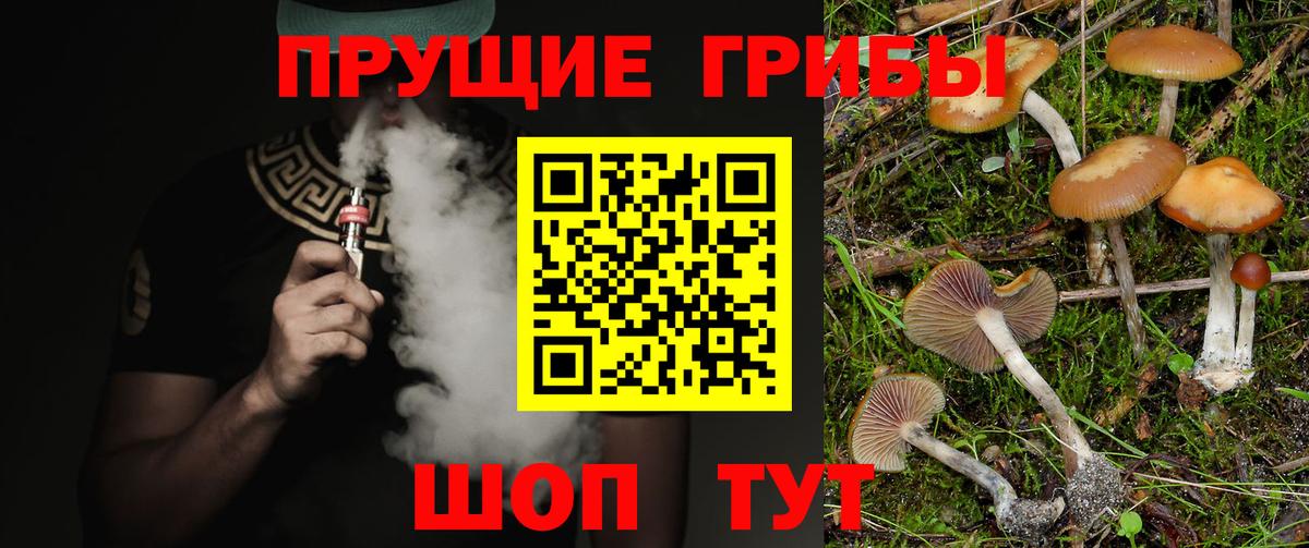 Галлюциногенные грибы Magic Shrooms  Вологда  Галлюциногенные грибы Psilocybine cubensis 