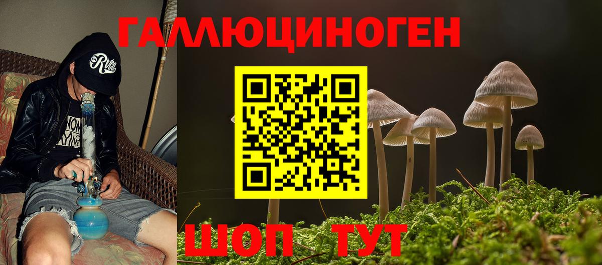 Псилоцибиновые грибы GOLDEN TEACHER  наркота  Вологда  Вход с VPN 