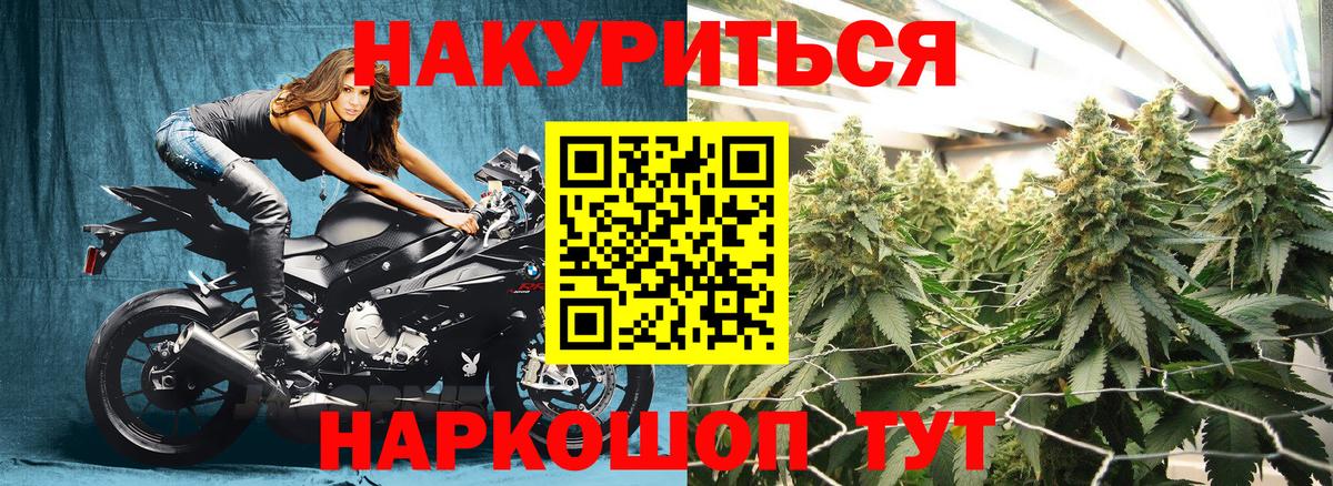 Шишки марихуана марихуана Вологда